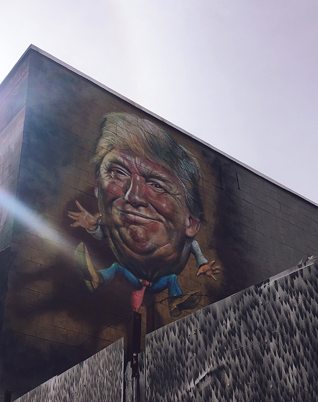 a guide to brooklyn : being little. british uk travel blogger usa america new york brooklyn city guide eating out vintage shopping williamsburg hipster being little graffiti donald trump