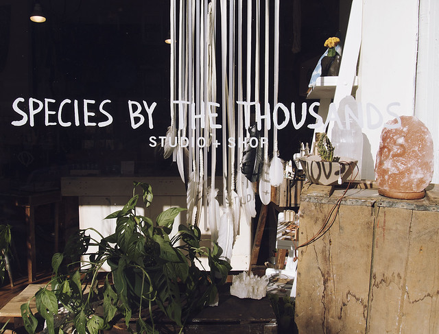 a guide to brooklyn : being little. british uk travel blogger usa america new york brooklyn city guide eating out vintage shopping williamsburg hipster being little species by the thousands studio shop