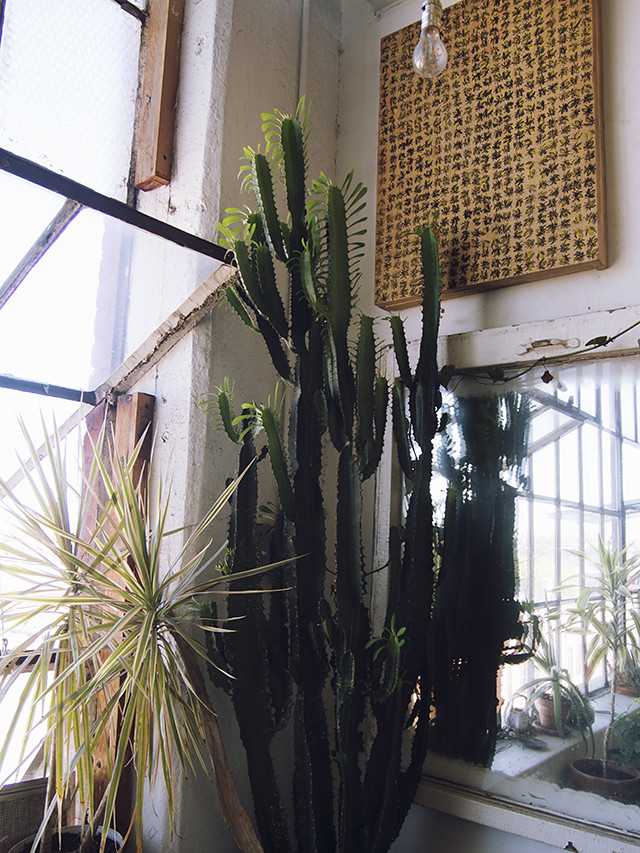 a guide to brooklyn : being little. british uk travel blogger usa america new york brooklyn city guide eating out vintage shopping williamsburg hipster artists warehouse loft apartment being little