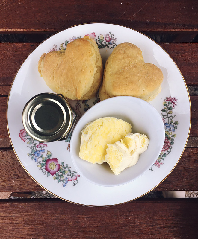 Plankbridge Shepherd's Hut, Colber Farm Plankbridge Shepherd's Hut, Colber Farm Happy Hare, canopy and stars, being little bristol travel lifestyle blog blogger lyzi heart shaped scone cream tea