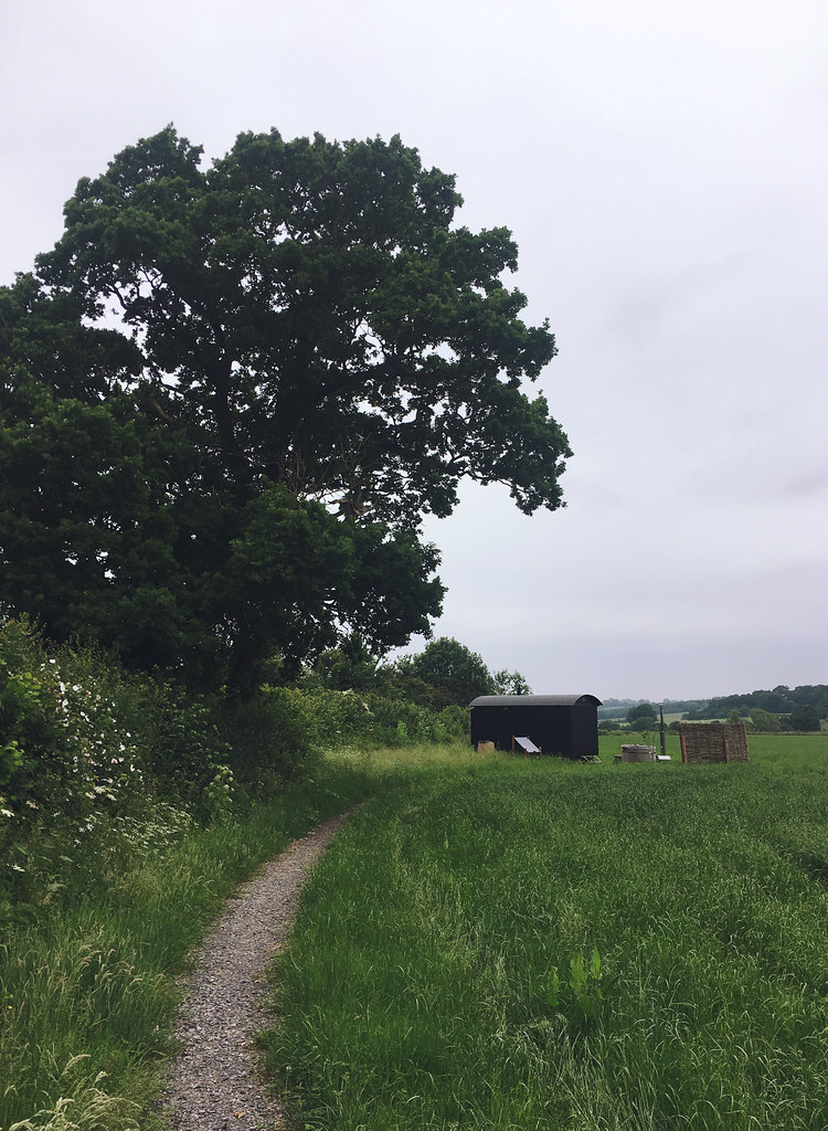 Plankbridge Shepherd's Hut, Colber Farm Plankbridge Shepherd's Hut, Colber Farm Happy Hare, canopy and stars, being little bristol travel lifestyle blog blogger lyzi view hot tub countryside
