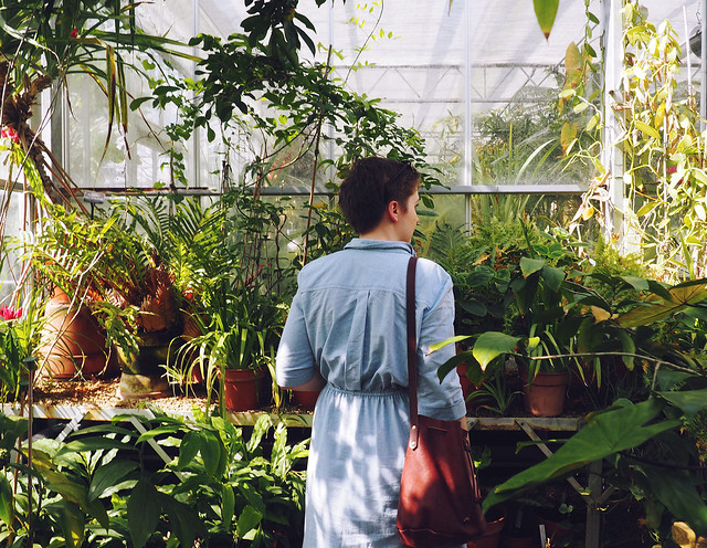 Bristol Botanic Garden : being little. University of Bristol Botanic Garden British UK fashion lifestyle blog spring family day out botanical gardens glasshouses