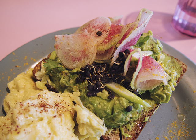New York City Guide : being little