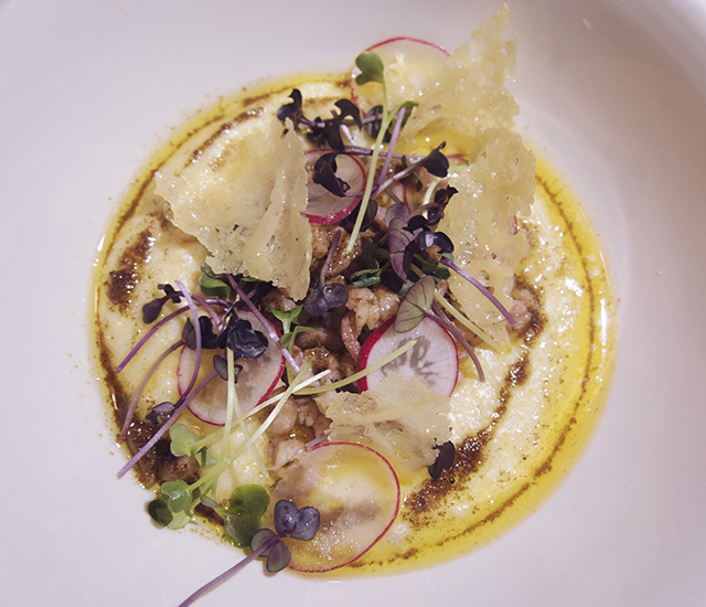 The Old Bookshop, Small Plates old bookshop bedminster bristol new menu alex bluett best roast best brunch north street