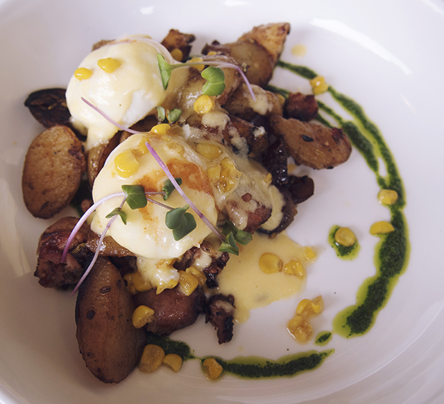 The Old Bookshop, New Brunch Menu old bookshop bedminster bristol new menu alex bluett best roast best brunch north street