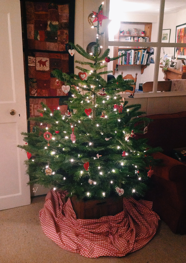 devon christmas tree