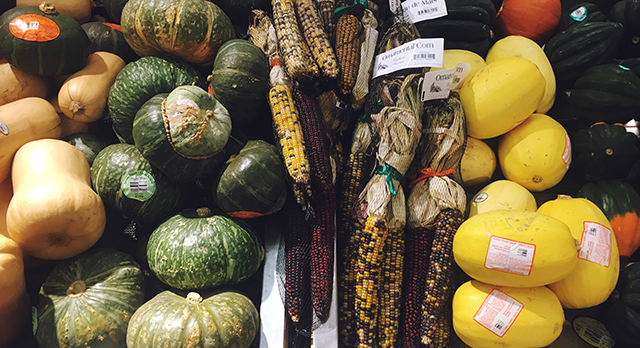 Autumn vegetables solo travel blog to ottawa canada