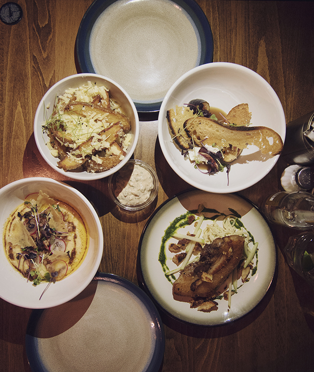 The Old Bookshop, Small Plates old bookshop bedminster bristol new menu alex bluett best roast best brunch north street